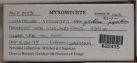 Image Associated With the Occurence